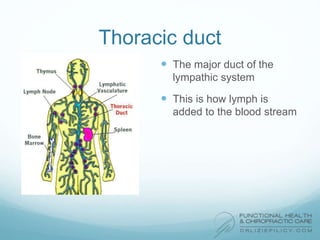 Thoracic duct
 The major duct of the
lympathic system
 This is how lymph is
added to the blood stream
 