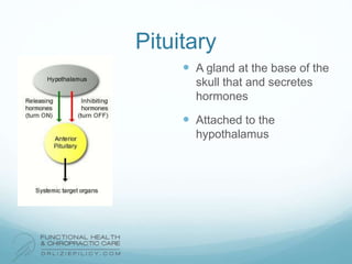 Pituitary
 A gland at the base of the
skull that and secretes
hormones
 Attached to the
hypothalamus
 