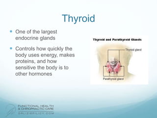 Thyroid
 One of the largest
endocrine glands
 Controls how quickly the
body uses energy, makes
proteins, and how
sensitive the body is to
other hormones
 