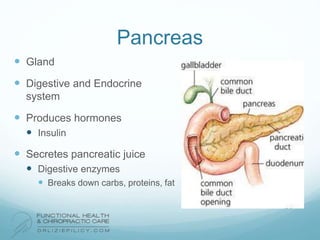 Pancreas
 Gland
 Digestive and Endocrine
system
 Produces hormones
 Insulin
 Secretes pancreatic juice
 Digestive enzymes
 Breaks down carbs, proteins, fat
 