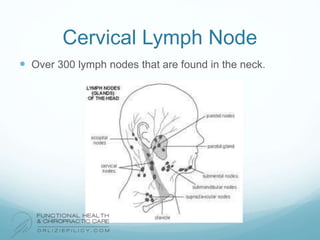 Cervical Lymph Node
 Over 300 lymph nodes that are found in the neck.
 