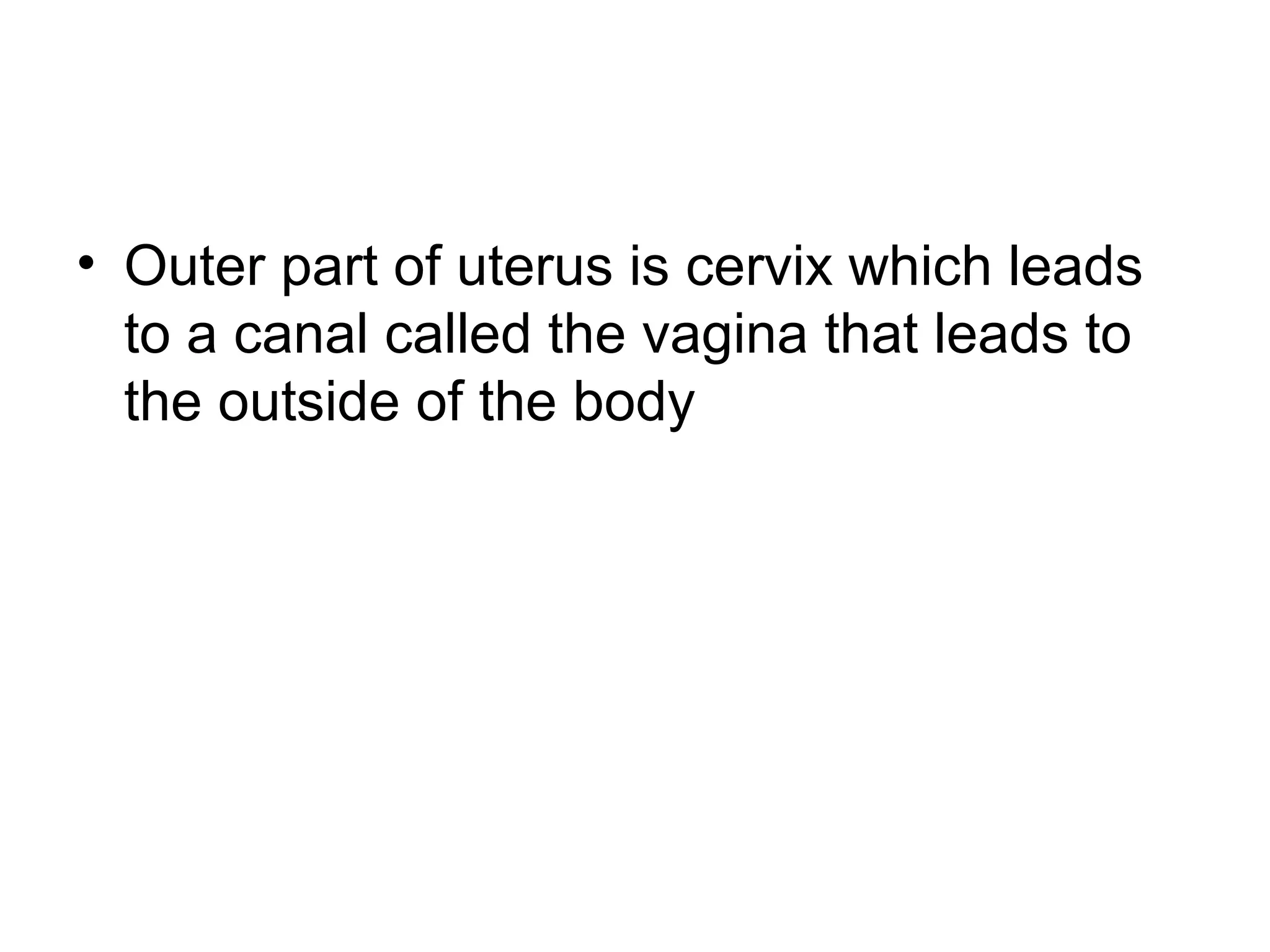 • Outer part of uterus is cervix which leads
to a canal called the vagina that leads to
the outside of the body
 