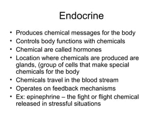 Endocrine
• Produces chemical messages for the body
• Controls body functions with chemicals
• Chemical are called hormones
• Location where chemicals are produced are
glands, (group of cells that make special
chemicals for the body
• Chemicals travel in the blood stream
• Operates on feedback mechanisms
• Ex: epinephrine – the fight or flight chemical
released in stressful situations
 