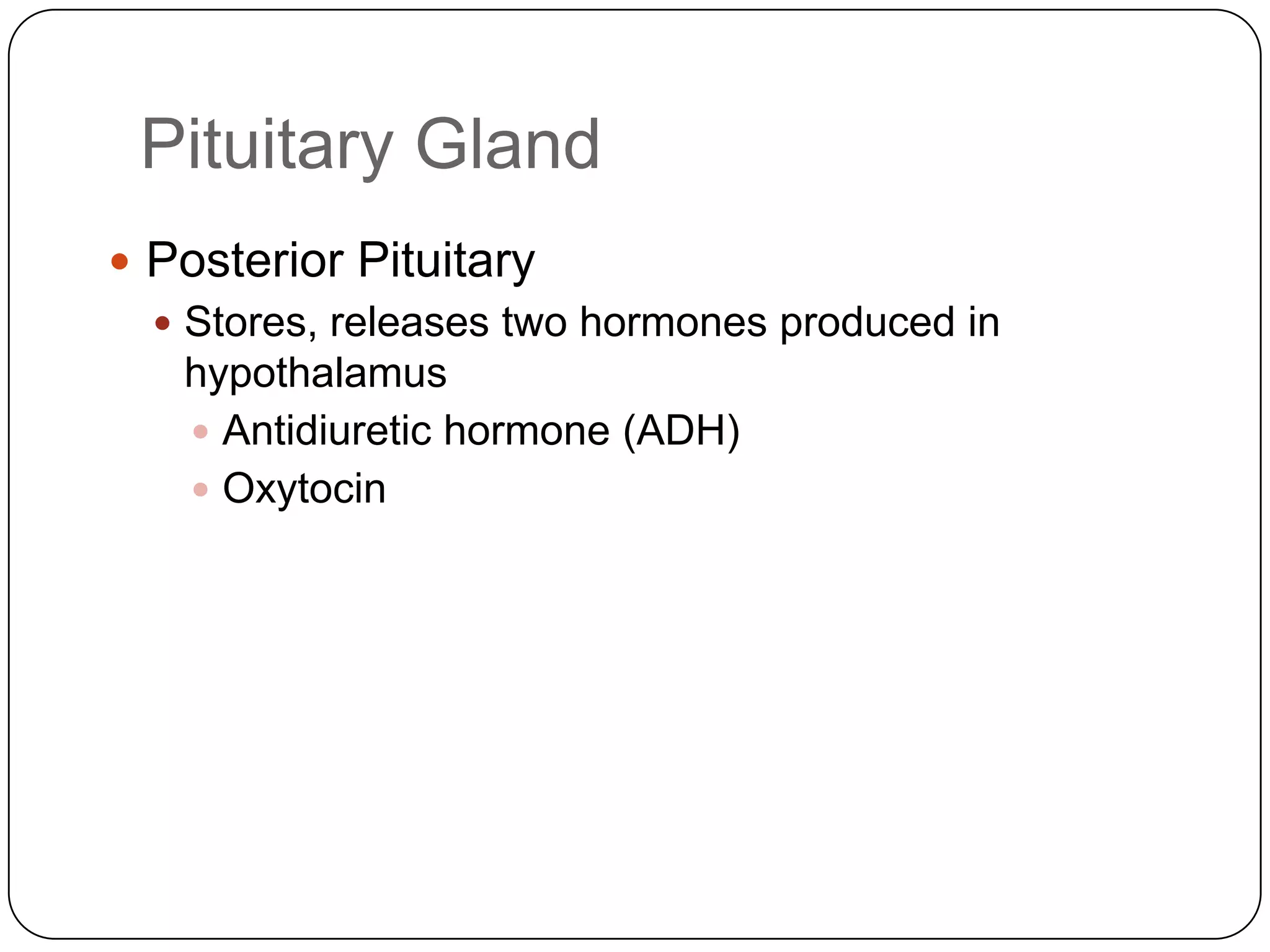 Pituitary GlandPosterior PituitaryStores, releases two hormones produced in hypothalamusAntidiuretic hormone (ADH)Oxytocin