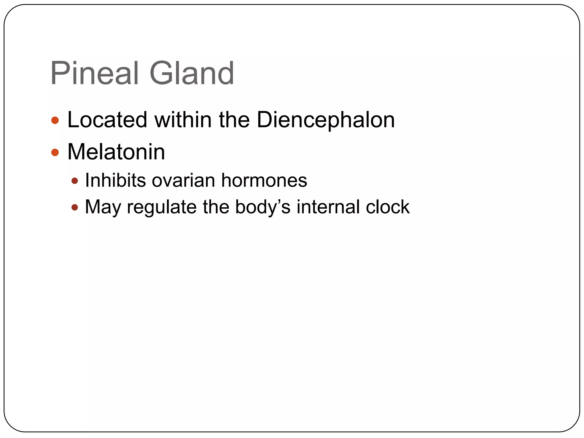Pineal GlandLocated within the DiencephalonMelatoninInhibits ovarian hormonesMay regulate the body’s internal clock