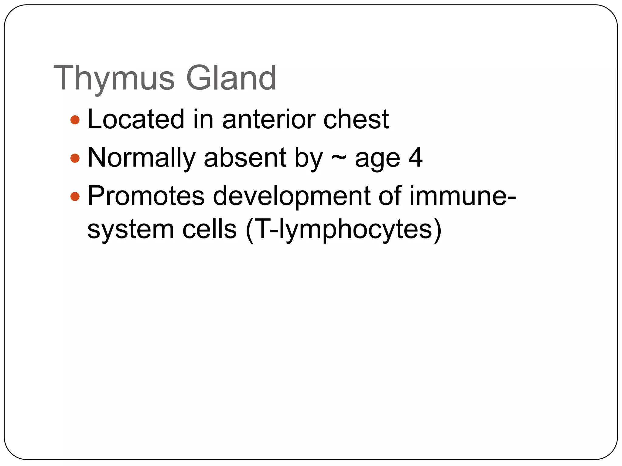 Thymus GlandLocated in anterior chest  Normally absent by ~ age 4Promotes development of immune-system cells (T-lymphocytes)