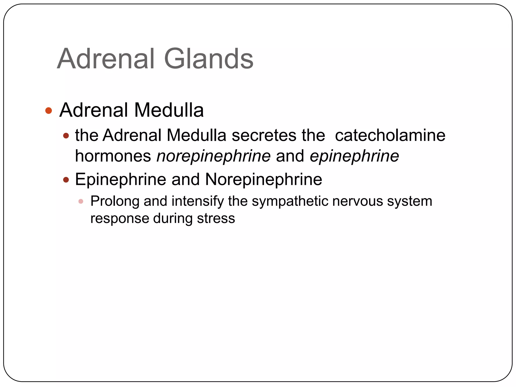 Adrenal GlandsAdrenal Medullathe Adrenal Medulla secretes the  catecholamine hormones norepinephrine and epinephrineEpinephrine and NorepinephrineProlong and intensify the sympathetic nervous system response during stress