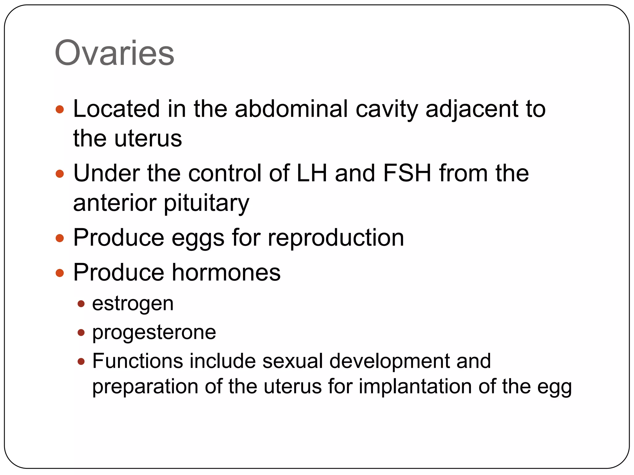 OvariesLocated in the abdominal cavity adjacent to the uterusUnder the control of LH and FSH from the anterior pituitaryProduce eggs for reproductionProduce hormonesestrogenprogesteroneFunctions include sexual development and preparation of the uterus for implantation of the egg