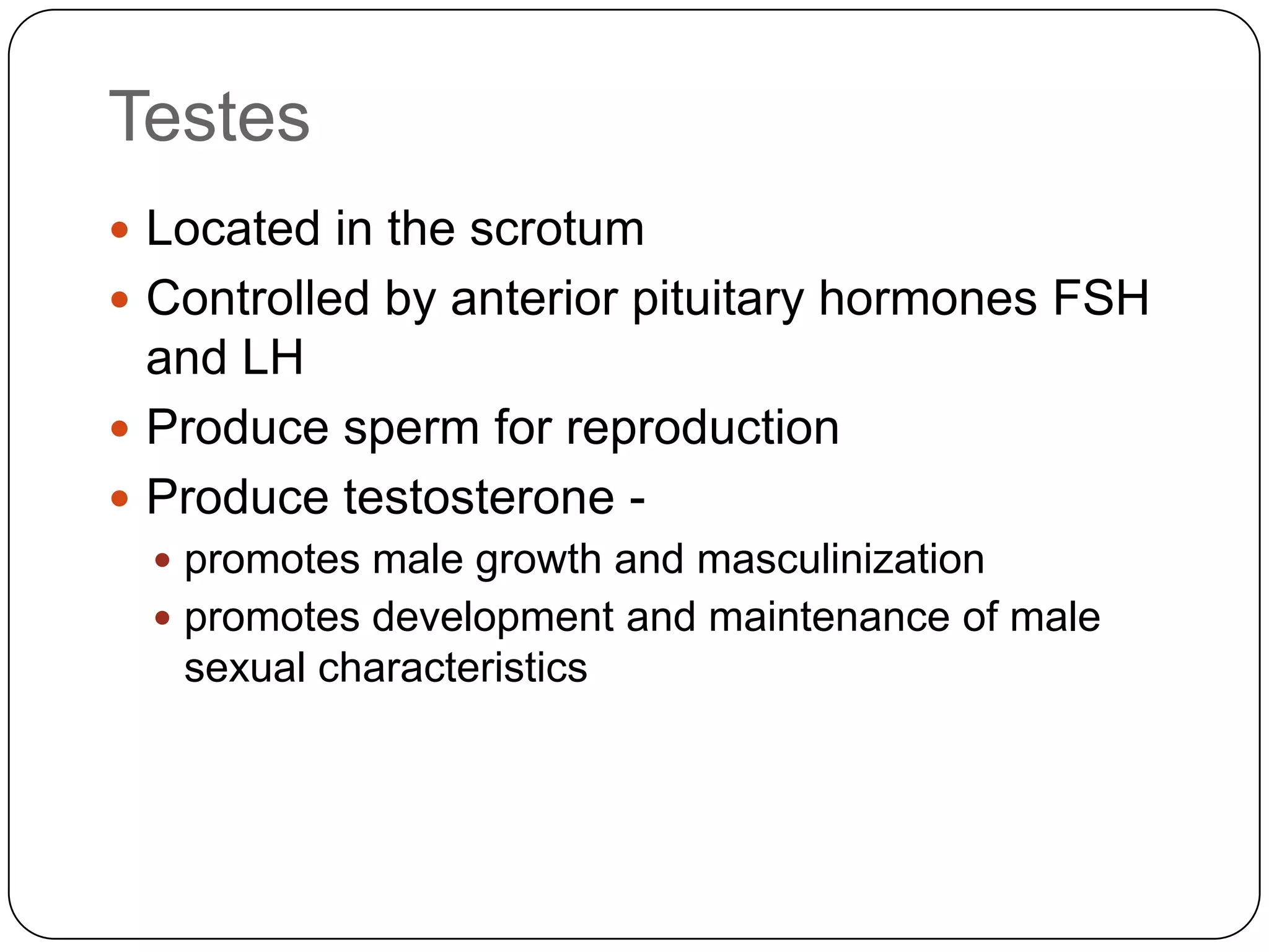TestesLocated in the scrotumControlled by anterior pituitary hormones FSH and LHProduce sperm for reproductionProduce testosterone -promotes male growth and masculinizationpromotes development and maintenance of male sexual characteristics