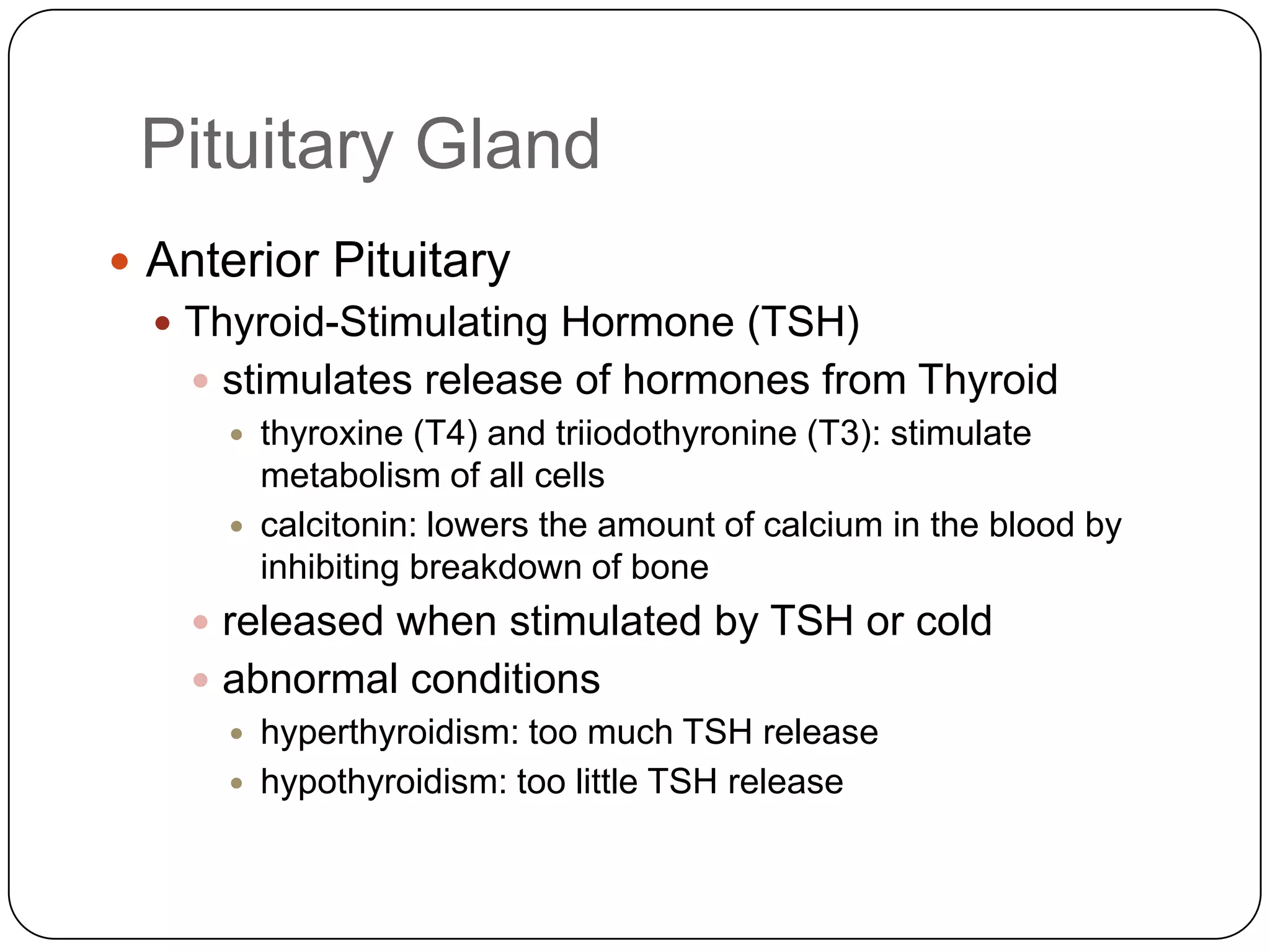 Pituitary GlandAnterior PituitaryThyroid-Stimulating Hormone (TSH)stimulates release of hormones from Thyroidthyroxine (T4) and triiodothyronine (T3): stimulate metabolism of all cellscalcitonin: lowers the amount of calcium in the blood by inhibiting breakdown of bonereleased when stimulated by TSH or coldabnormal conditionshyperthyroidism: too much TSH releasehypothyroidism: too little TSH release