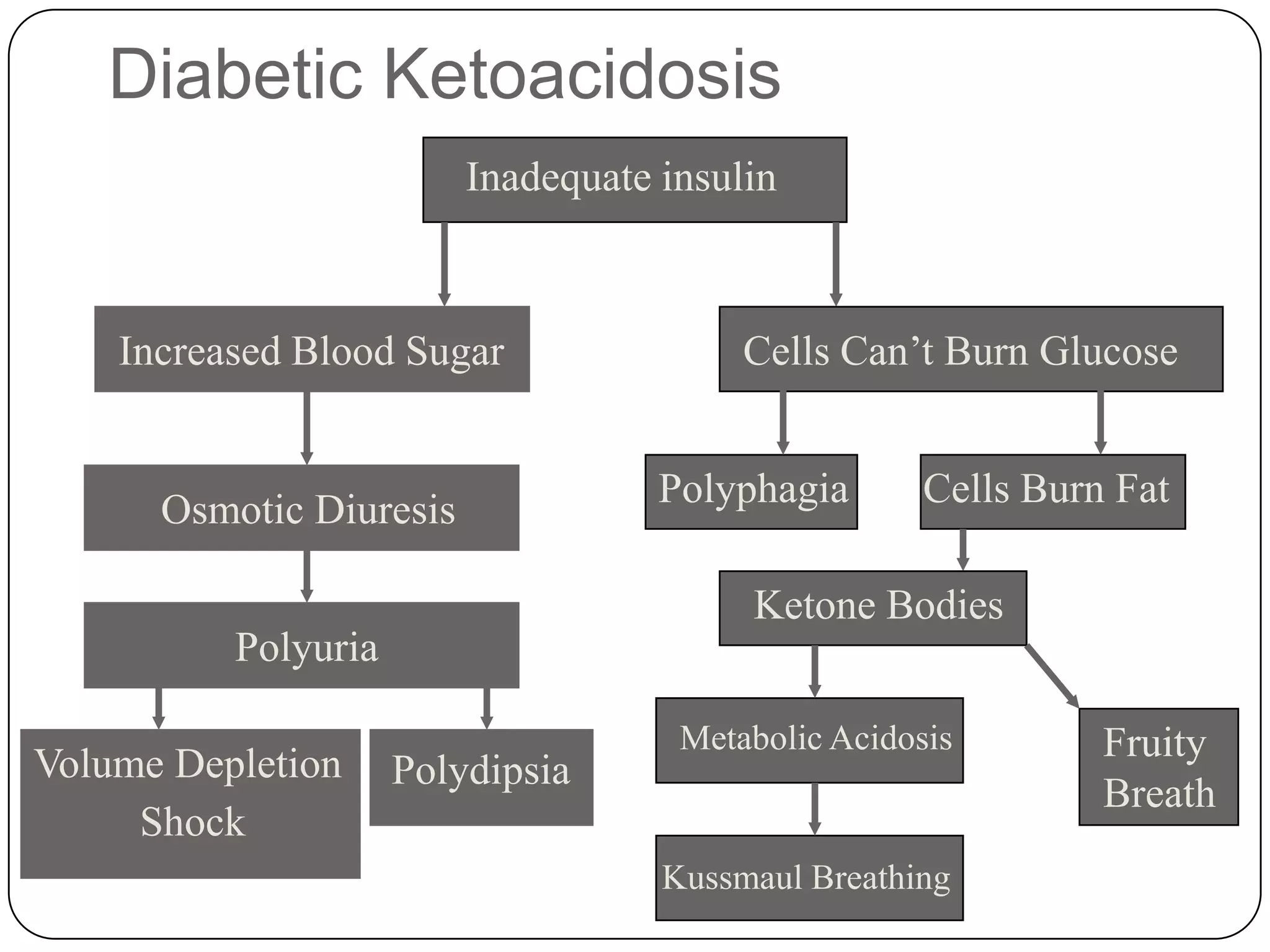 Regulation of GlucoseThe other 3 major food sources for glucose arecarbohydratesproteinsfatsMost sugars in the human diet are complex and must be broken down into simple sugars:  glucose, galactose and fructose - before use