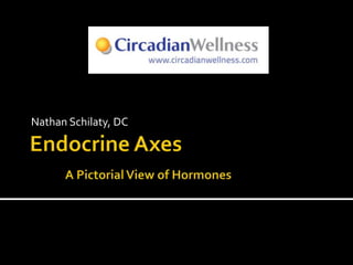 Endocrine AxesA Pictorial View of Hormones Nathan Schilaty, DC 