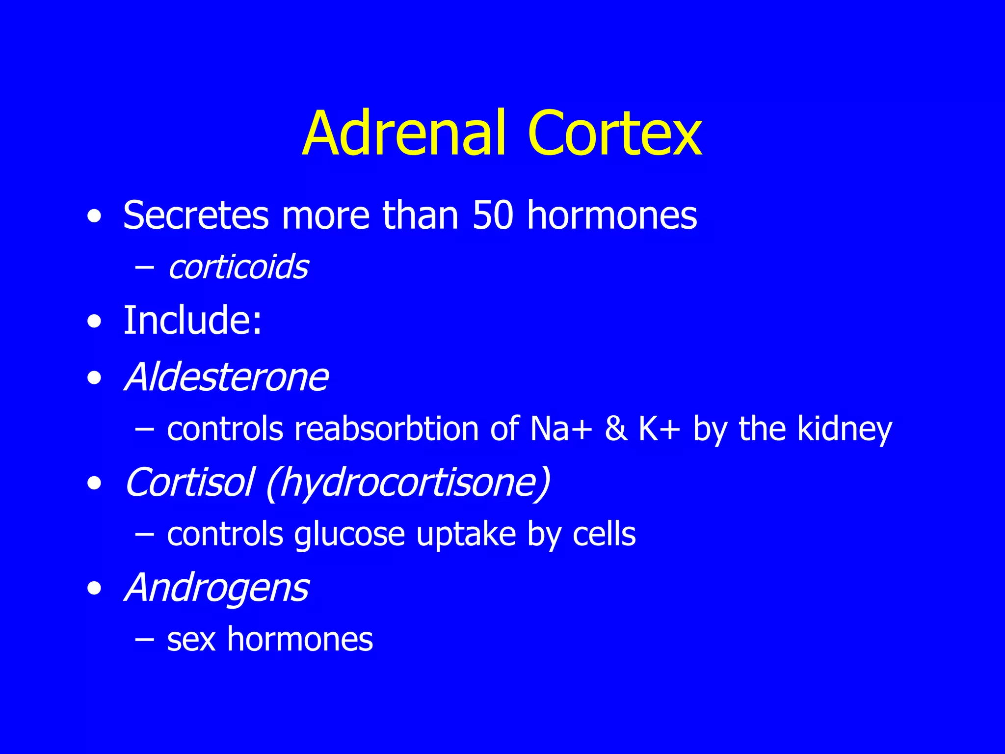 Adrenal Cortex Secretes more than 50 hormones  corticoids Include: Aldesterone  controls reabsorbtion of Na+ & K+ by the kidney Cortisol (hydrocortisone)  controls glucose uptake by cells Androgens   sex hormones 