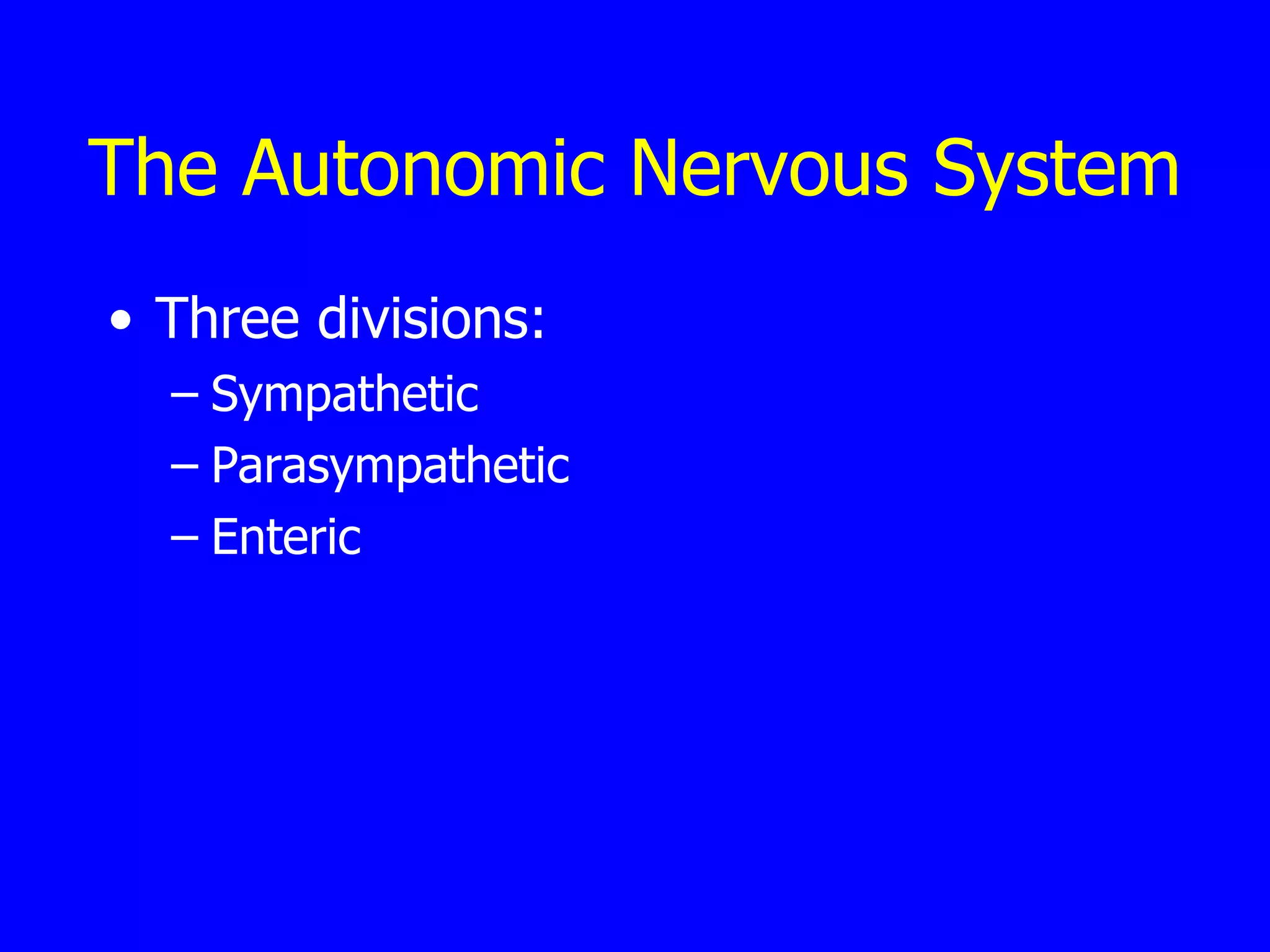 The Autonomic Nervous System Three divisions:  Sympathetic Parasympathetic Enteric   