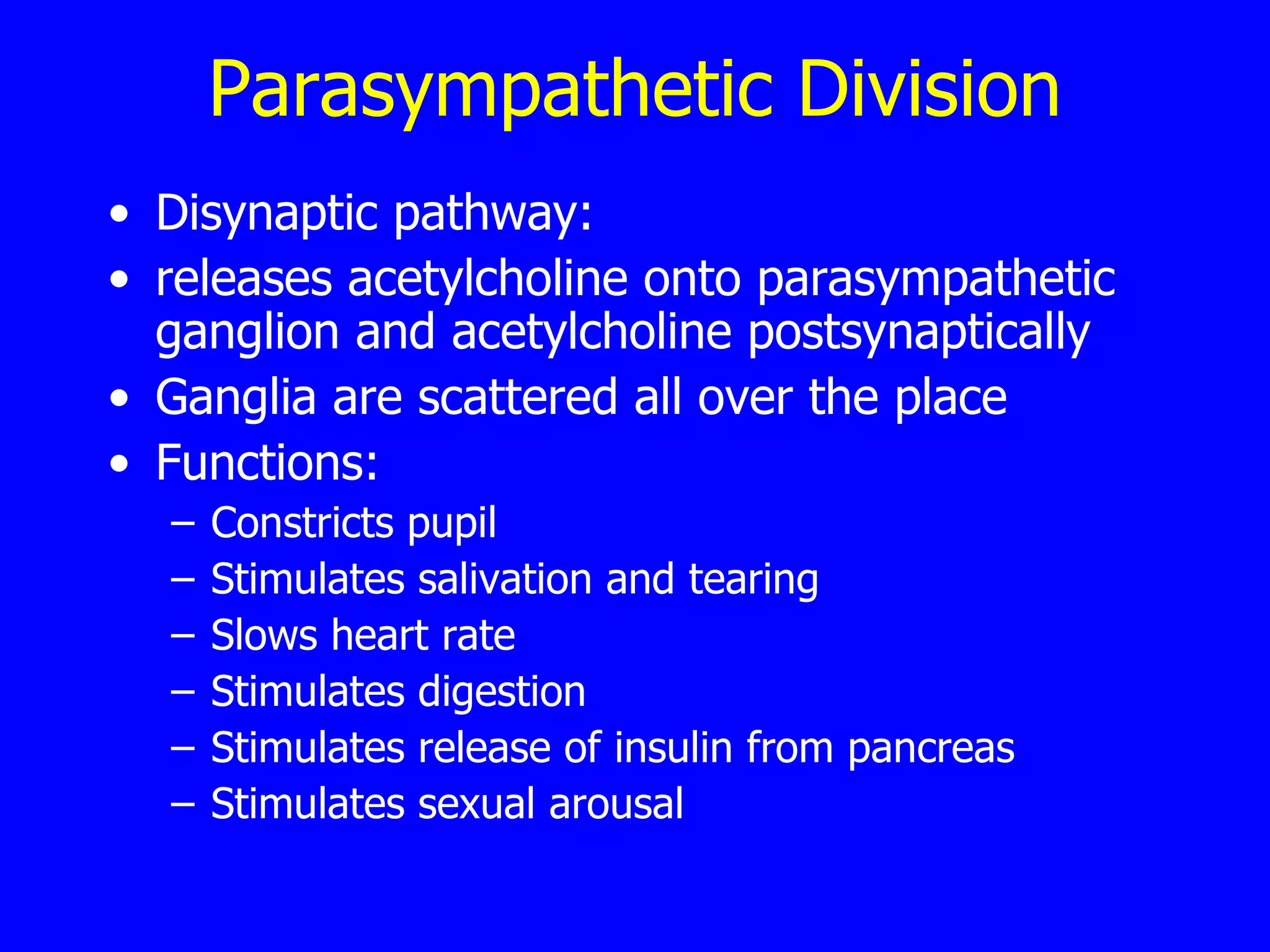 Parasympathetic Division Disynaptic pathway:  releases acetylcholine onto parasympathetic ganglion and acetylcholine postsynaptically  Ganglia are scattered all over the place  Functions:  Constricts pupil  Stimulates salivation and tearing  Slows heart rate  Stimulates digestion  Stimulates release of insulin from pancreas  Stimulates sexual arousal  