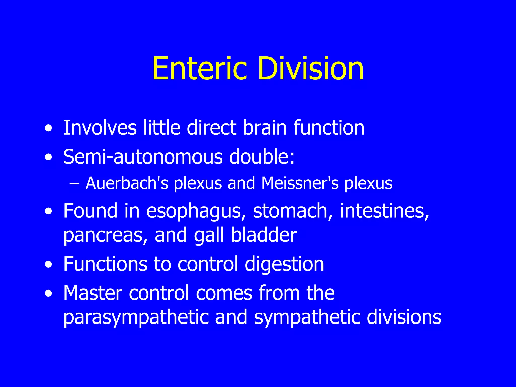 Enteric Division Involves little direct brain function Semi-autonomous double: Auerbach's plexus and Meissner's plexus  Found in esophagus, stomach, intestines, pancreas, and gall bladder  Functions to control digestion  Master control comes from the parasympathetic and sympathetic divisions   