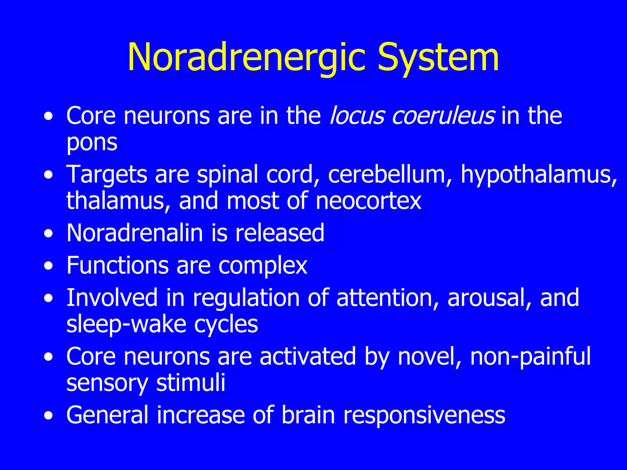 Noradrenergic System Core neurons are in the  locus coeruleus  in the pons  Targets are spinal cord, cerebellum, hypothalamus, thalamus, and most of neocortex  Noradrenalin is released  Functions are complex  Involved in regulation of attention, arousal, and sleep-wake cycles  Core neurons are activated by novel, non-painful sensory stimuli  General increase of brain responsiveness  