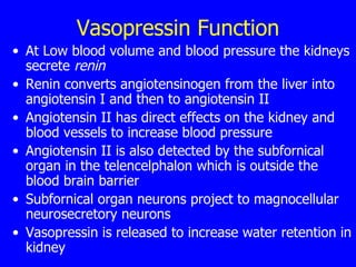 Vasopressin Function At Low blood volume and blood pressure the kidneys secrete  renin   Renin converts angiotensinogen from the liver into angiotensin I and then to angiotensin II  Angiotensin II has direct effects on the kidney and blood vessels to increase blood pressure  Angiotensin II is also detected by the subfornical organ in the telencelphalon which is outside the blood brain barrier  Subfornical organ neurons project to magnocellular neurosecretory neurons  Vasopressin is released to increase water retention in kidney  