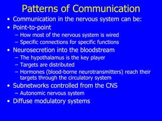 Patterns of Communication Communication in the nervous system can be: Point-to-point  How most of the nervous system is wired  Specific connections for specific functions  Neurosecretion into the bloodstream The hypothalamus is the key player Targets are distributed  Hormones (blood-borne neurotransmitters) reach their targets through the circulatory system  Subnetworks controlled from the CNS  Autonomic nervous system  Diffuse modulatory systems  