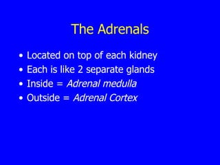 The  Adrenals Located on top of each kidney Each is like 2 separate glands Inside =  Adrenal medulla Outside =  Adrenal Cortex 