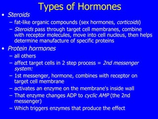 Types of Hormones Steroids  fat-like organic compounds (sex hormones,  corticoids ) Steroids  pass through target cell membranes, combine with receptor molecules, move into cell nucleus, then helps determine manufacture of specific proteins Protein hormones   all others affect target cells in 2 step process =  2nd messenger system: 1st messenger, hormone, combines with receptor on target cell membrane  activates an enzyme on the membrane's inside wall  That enzyme changes ADP to  cyclic AMP  (the 2nd messenger)  Which triggers enzymes that produce the effect  