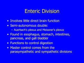 Enteric Division Involves little direct brain function Semi-autonomous double: Auerbach's plexus and Meissner's plexus  Found in esophagus, stomach, intestines, pancreas, and gall bladder  Functions to control digestion  Master control comes from the parasympathetic and sympathetic divisions   