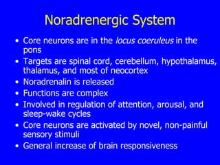Noradrenergic System Core neurons are in the  locus coeruleus  in the pons  Targets are spinal cord, cerebellum, hypothalamus, thalamus, and most of neocortex  Noradrenalin is released  Functions are complex  Involved in regulation of attention, arousal, and sleep-wake cycles  Core neurons are activated by novel, non-painful sensory stimuli  General increase of brain responsiveness  