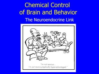 Chemical Control  of Brain and Behavior The Neuroendocrine Link 