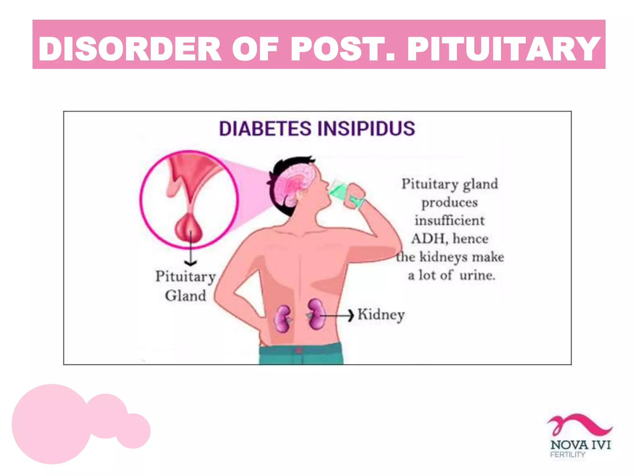 Endocrine Diseases Pptx