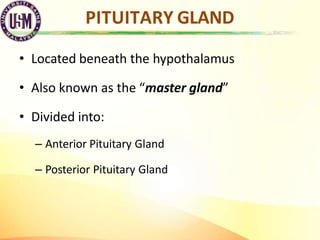PITUITARY GLAND
• Located beneath the hypothalamus
• Also known as the “master gland”
• Divided into:
– Anterior Pituitary...