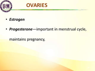 OVARIES
28
• Estrogen
• Progesterone—important in menstrual cycle,
maintains pregnancy,
 