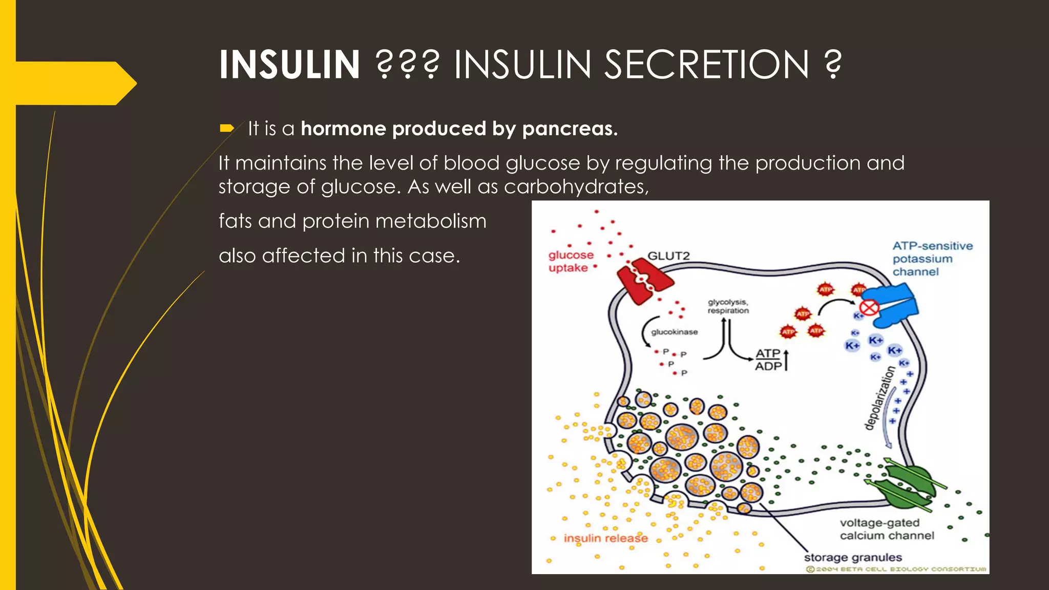 Endocrine disorder Diabetes Mellitus (DM) | PDF | Endocrine and ...