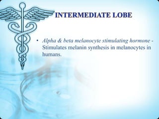 • Alpha & beta melanocyte stimulating hormone Stimulates melanin synthesis in melanocytes in
humans.

 