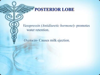 Vasopressin (Antidiuretic hormone)- promotes
water retention.

Oxytocin- Causes milk ejection.

 