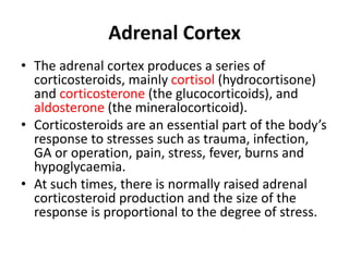Adrenal Cortex
• The adrenal cortex produces a series of
corticosteroids, mainly cortisol (hydrocortisone)
and corticosterone (the glucocorticoids), and
aldosterone (the mineralocorticoid).
• Corticosteroids are an essential part of the body’s
response to stresses such as trauma, infection,
GA or operation, pain, stress, fever, burns and
hypoglycaemia.
• At such times, there is normally raised adrenal
corticosteroid production and the size of the
response is proportional to the degree of stress.
 