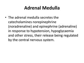 Adrenal Medulla
• The adrenal medulla secretes the
catecholamines norepinephrine
(noradrenaline) and epinephrine (adrenaline)
in response to hypotension, hypoglycaemia
and other stress, their release being regulated
by the central nervous system.
 