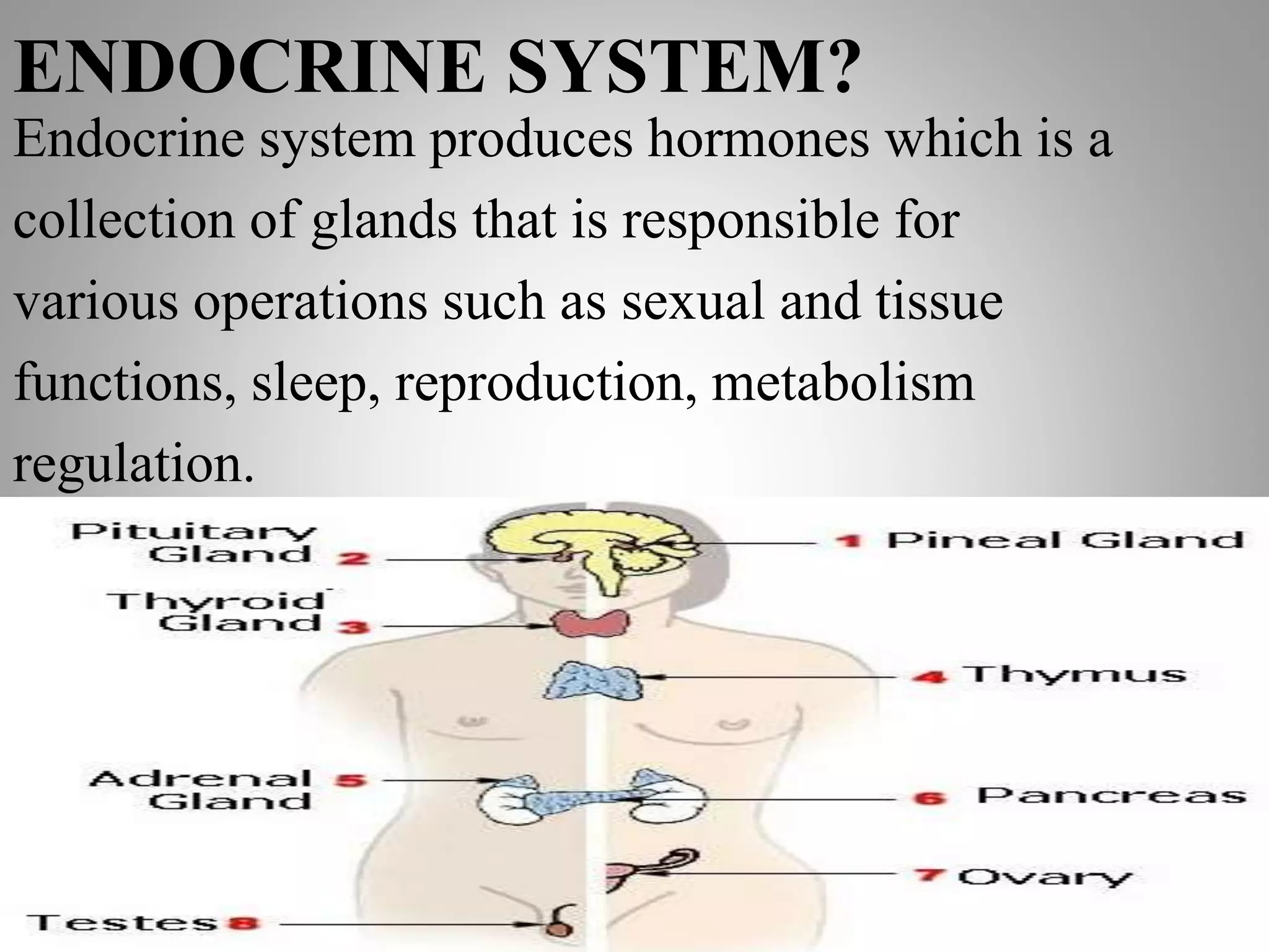 ENDOCRINE SYSTEM?
Endocrine system produces hormones which is a
collection of glands that is responsible for
various operations such as sexual and tissue
functions, sleep, reproduction, metabolism
regulation.