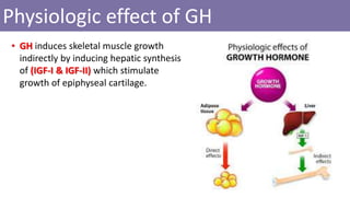 Physiologic effect of GH
• GH induces skeletal muscle growth
indirectly by inducing hepatic synthesis
of (IGF-I & IGF-II) which stimulate
growth of epiphyseal cartilage.
 