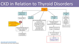 CKD in Relation to Thyroid Disorders
https://doi.org/10.1155/2014/520281
Thyroid Disorders and Chronic Kidney Disease
 