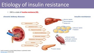Etiology of insulin resistance
Insulin resistance in chronic kidney disease: a systematic review
Belinda Spoto, 01 DEC 2016
• CKD is a state of Insuline resistance (IR).
 