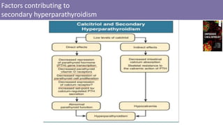 Factors contributing to
secondary hyperparathyroidism
 