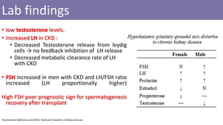 Testosterone Deficiency and Other Testicular Disorders in Kidney Disease
Lab findings
• low testosterone levels.
• Increased LH in CKD :
• Decreased Testosterone release from leydig
cells → no feedback inhibition of LH release
• Decreased metabolic clearance rate of LH
with CKD
• FSH increased in men with CKD and LH/FSH ratio
increased (LH proportionally higher)
High FSH poor prognostic sign for spermatogenesis
recovery after transplant
 