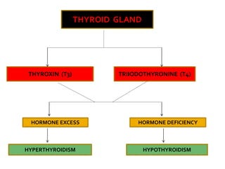 THYROID GLAND
THYROXIN (T3) TRIIODOTHYRONINE (T4)
HORMONE EXCESS HORMONE DEFICIENCY
HYPERTHYROIDISM HYPOTHYROIDISM
 