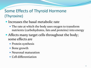 Some Effects of Thyroid Hormone
(Thyroxine)
 Increases the basal metabolic rate
 The rate at which the body uses oxygen to transform
nutrients (carbohydrates, fats and proteins) into energy
 Affects many target cells throughout the body;
some effects are
 Protein synthesis
 Bone growth
 Neuronal maturation
 Cell differentiation
11
 