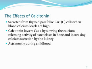 The Effects of Calcitonin
 Secreted from thyroid parafollicular (C) cells when
blood calcium levels are high
 Calcitonin lowers Ca++ by slowing the calcium-
releasing activity of osteoclasts in bone and increasing
calcium secretion by the kidney
 Acts mostly during childhood
12
 