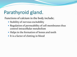 Parathyroid gland.
Functions of calcium in the body include;
 Stability of nervous excitability
 Regulation of permeability of cell membranes thus
control intracellular metabolism
 Helps in the formation of bones and teeth
 It is a factor of clotting in blood
 