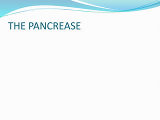 THE PANCREASE
 