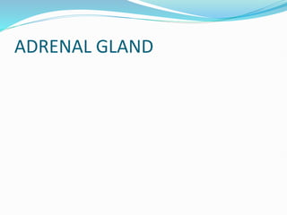 ADRENAL GLAND
 