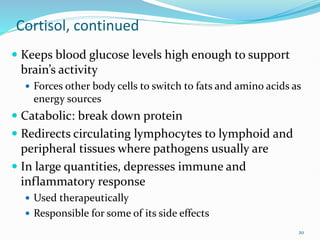 Cortisol, continued
 Keeps blood glucose levels high enough to support
brain’s activity
 Forces other body cells to switch to fats and amino acids as
energy sources
 Catabolic: break down protein
 Redirects circulating lymphocytes to lymphoid and
peripheral tissues where pathogens usually are
 In large quantities, depresses immune and
inflammatory response
 Used therapeutically
 Responsible for some of its side effects
20
 