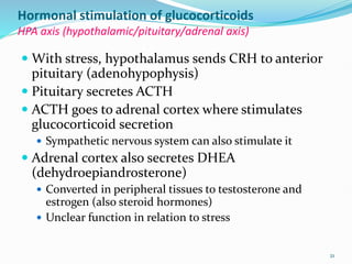 Hormonal stimulation of glucocorticoids
HPA axis (hypothalamic/pituitary/adrenal axis)
 With stress, hypothalamus sends CRH to anterior
pituitary (adenohypophysis)
 Pituitary secretes ACTH
 ACTH goes to adrenal cortex where stimulates
glucocorticoid secretion
 Sympathetic nervous system can also stimulate it
 Adrenal cortex also secretes DHEA
(dehydroepiandrosterone)
 Converted in peripheral tissues to testosterone and
estrogen (also steroid hormones)
 Unclear function in relation to stress
21
 